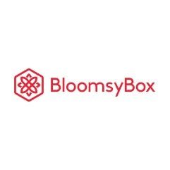BloomsyBox logo