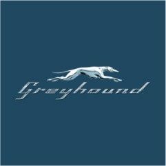 Greyhound