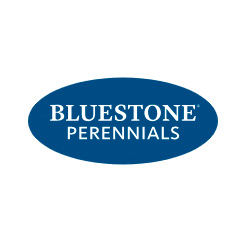 Bluestone Perennials logo