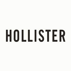 Hollister logo