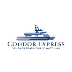 Condor Express logo