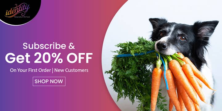 IdentitypetPromo Code