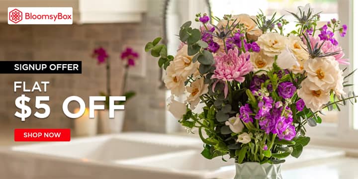 BloomsyBox Promo Code